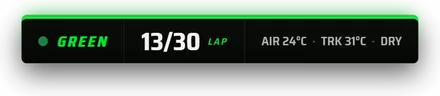 Oval Pylon session status strip: green, lap 13 of 30, sample data